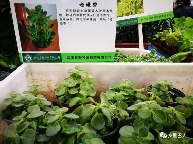 农业科技农企产品市民乐园